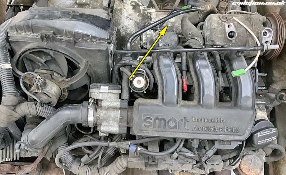 Antecipadamente casual Recordar motor smart fortwo 450 gênio Grilo Fio